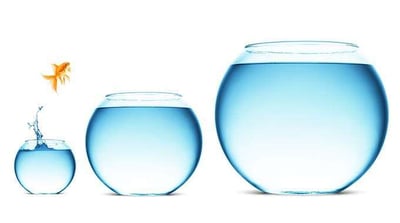 Managing Liquidity: Exploring Options